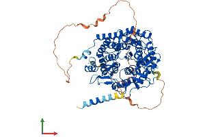 AlphaFold protein structure predicition of Human Recombinant EDEM1 Protein, UniprotID Q92611