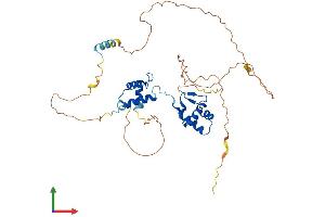 AlphaFold protein structure predicition of Human Recombinant PAX5 Protein, UniprotID Q02548