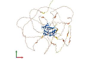 AlphaFold protein structure predicition of Mouse Recombinant Atxn1l Protein, UniprotID P0C7T6