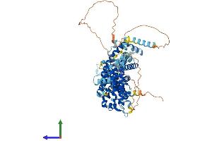 AlphaFold protein structure predicition of Human Recombinant NDC1 Protein, UniprotID Q9BTX1