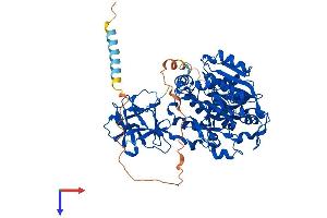 AlphaFold protein structure predicition of Human Recombinant GALNT7 Protein, UniprotID Q86SF2