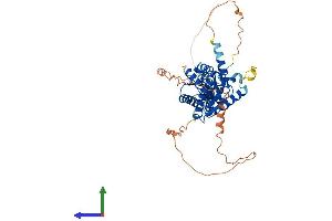 AlphaFold protein structure predicition of Human Recombinant CACNB3 Protein, UniprotID P54284