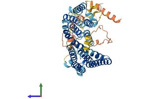 AlphaFold protein structure predicition of Human Recombinant SERINC3 Protein, UniprotID Q13530
