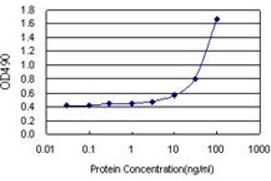 Sandwich ELISA detection sensitivity ranging from 3 ng/mL to 100 ng/mL. (IDO1 (Humain) Matched Antibody Pair)