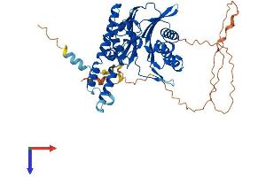 AlphaFold protein structure predicition of Mouse Recombinant Tab1 Protein, UniprotID Q8CF89