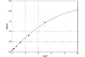 A typical standard curve (IRF5 Kit ELISA)