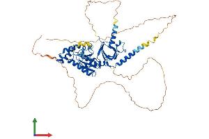AlphaFold protein structure predicition of Mouse Recombinant Cacnb4 Protein, UniprotID Q8R0S4