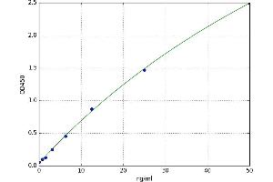 Arginyl-tRNA Synthetase (RARS) ELISA Kit