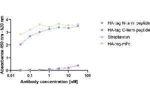 HA-tagged Protein was coated on an ELISA plate at 100 ng.