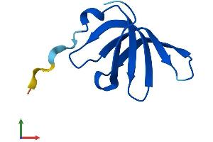 AlphaFold protein structure predicition of Human Recombinant SNRPG Protein, UniprotID P62308