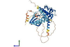 AlphaFold protein structure predicition of Human Recombinant STK24 Protein, UniprotID Q9Y6E0