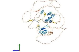 AlphaFold protein structure predicition of Mouse Recombinant Ckap2 Protein, UniprotID Q3V1H1