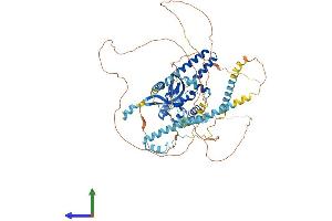AlphaFold protein structure predicition of Mouse Recombinant Rtf1 Protein, UniprotID A2AQ19