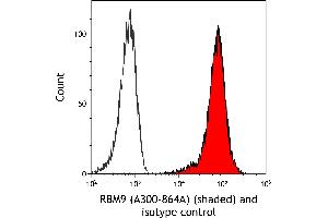 Flow Cytometry (FACS) image for anti-RNA Binding Motif Protein 9 (RBM9) (AA 1-50) antibody (ABIN7454680)