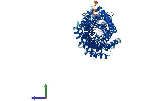 AlphaFold protein structure predicition of Human Recombinant MAU2 Protein, UniprotID Q9Y6X3