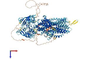 AlphaFold protein structure predicition of Mouse Recombinant Abcc5 Protein, UniprotID Q9R1X5