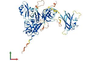 AlphaFold protein structure predicition of Human Recombinant CAPN10 Protein, UniprotID Q9HC96