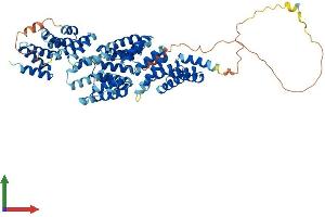 AlphaFold protein structure predicition of Mouse Recombinant Cdc16 Protein, UniprotID Q8R349