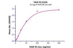 Immobilized  Human VEGF165  with a linear range of 3-50 ng/mL. (VEGF Protein (AA 27-191))