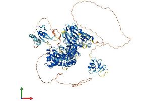 AlphaFold protein structure predicition of Mouse Recombinant Lig3 Protein, UniprotID P97386