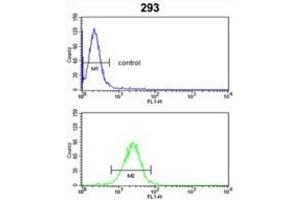 Flow Cytometry (FACS) image for anti-Cytochrome P450, Family 3, Subfamily A, Polypeptide 5 (CYP3A5) antibody (ABIN3003498)