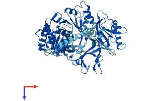 AlphaFold protein structure predicition of Mouse Recombinant Slc27a2 Protein, UniprotID O35488