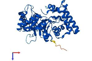 AlphaFold protein structure predicition of Human Recombinant AKR7L Protein, UniprotID Q8NHP1