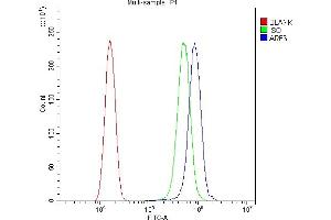 Flow Cytometry analysis of SiHa cells using anti-ARF6 antibody (ABIN4886473). (ARF6 anticorps  (AA 2-175))