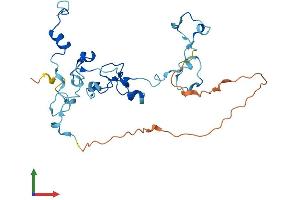 AlphaFold protein structure predicition of Human Recombinant CPSF4 Protein, UniprotID O95639