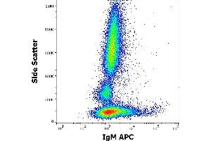 Flow cytometry surface staining pattern of human peripheral whole blood stained using anti-human IgM (CH2) APC antibody (concentration in sample 0,6 μg/mL). (Souris anti-Humain IgM Anticorps (APC))