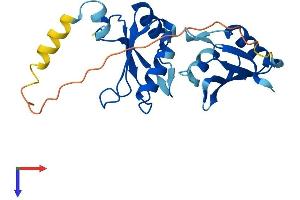 AlphaFold protein structure predicition of Human Recombinant SNRPB2 Protein, UniprotID P08579