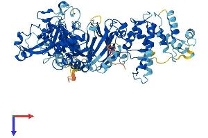 AlphaFold protein structure predicition of Mouse Recombinant Capn11 Protein, UniprotID Q6J756
