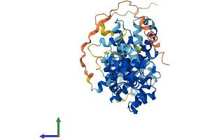 AlphaFold protein structure predicition of Human Recombinant PRIM2 Protein, UniprotID P49643
