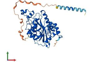 AlphaFold protein structure predicition of Human Recombinant B3GNT7 Protein, UniprotID Q8NFL0