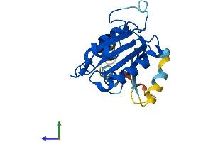 AlphaFold protein structure predicition of Mouse Recombinant Sar1b Protein, UniprotID Q9CQC9