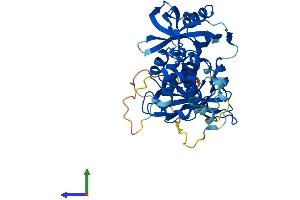AlphaFold protein structure predicition of Mouse Recombinant Crbn Protein, UniprotID Q8C7D2