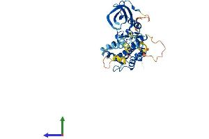 AlphaFold protein structure predicition of Human Recombinant MAPKAPK3 Protein, UniprotID Q16644