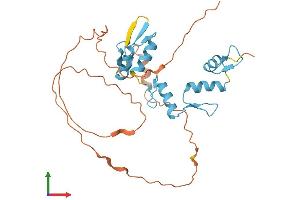 AlphaFold protein structure predicition of Mouse Recombinant Snai3 Protein, UniprotID Q9QY31