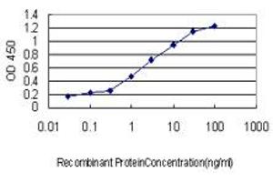 Detection limit for recombinant GST tagged RBBP6 is approximately 0.