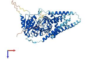 AlphaFold protein structure predicition of Human Recombinant HAS1 Protein, UniprotID Q92839