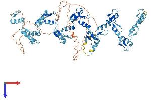 AlphaFold protein structure predicition of Human Recombinant ZNF23 Protein, UniprotID P17027