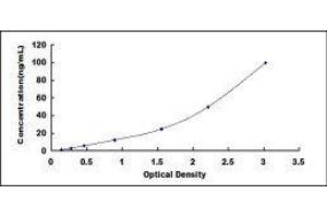 Sirtuin 2 (SIRT2) ELISA Kit
