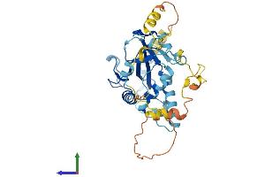 AlphaFold protein structure predicition of Mouse Recombinant Atg3 Protein, UniprotID Q9CPX6