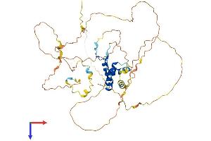 AlphaFold protein structure predicition of Mouse Recombinant Sox10 Protein, UniprotID Q04888