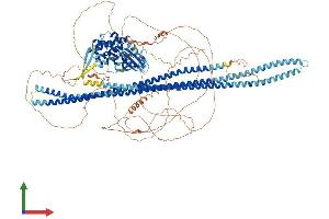 AlphaFold protein structure predicition of Human Recombinant SLK Protein, UniprotID Q9H2G2