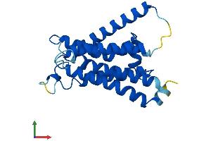 AlphaFold protein structure predicition of Mouse Recombinant Pigf Protein, UniprotID O09101