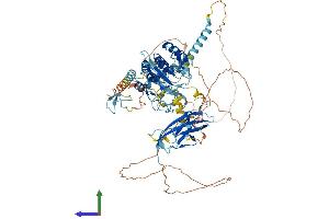 AlphaFold protein structure predicition of Human Recombinant DZANK1 Protein, UniprotID Q9NVP4
