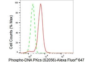 Flow cytometric analysis of Phospho-DNA PKcs (S) expression in HT- cells using Phospho-DNA PKcs (S) antibody (ABIN7800014), 1:2,000).