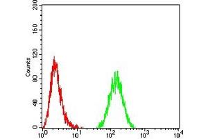 Flow cytometric analysis of Hela cells using TBP mouse mAb (green) and negative control (red). (TBP anticorps  (AA 1-144))
