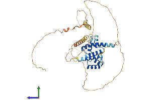 AlphaFold protein structure predicition of Mouse Recombinant Pou4f1 Protein, UniprotID P17208